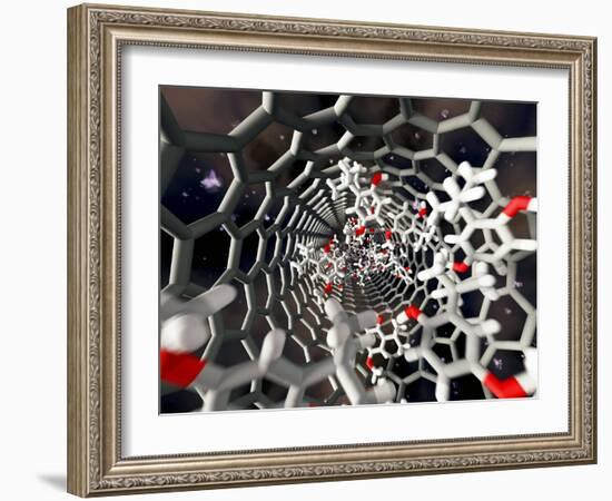 Nanotube Drug Delivery, Artwork-Equinox Graphics-Framed Photographic Print