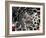 Nanotube Drug Delivery, Artwork-Equinox Graphics-Framed Photographic Print