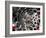 Nanotube Drug Delivery, Artwork-Equinox Graphics-Framed Photographic Print