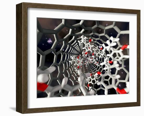 Nanotube Drug Delivery, Artwork-Equinox Graphics-Framed Photographic Print