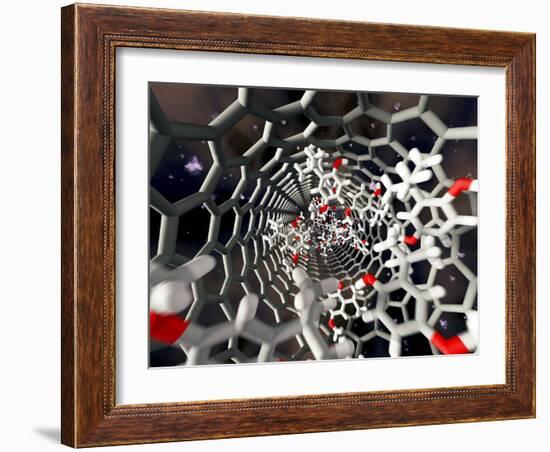 Nanotube Drug Delivery, Artwork-Equinox Graphics-Framed Photographic Print