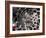 Nanotube Drug Delivery, Artwork-Equinox Graphics-Framed Photographic Print