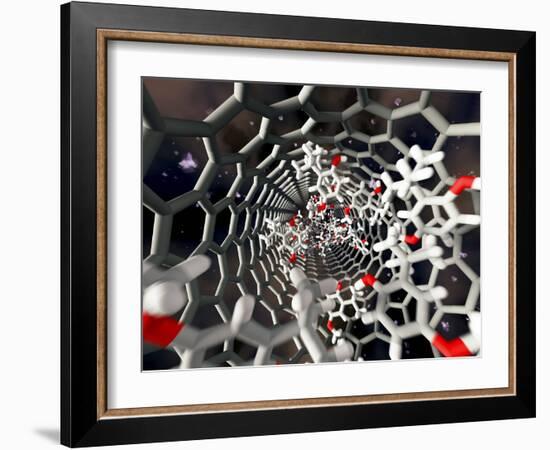 Nanotube Drug Delivery, Artwork-Equinox Graphics-Framed Photographic Print