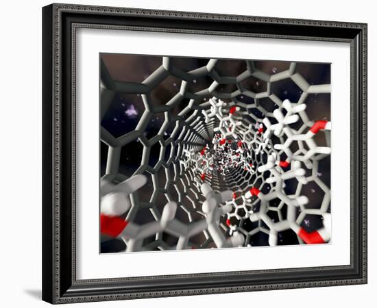 Nanotube Drug Delivery, Artwork-Equinox Graphics-Framed Photographic Print