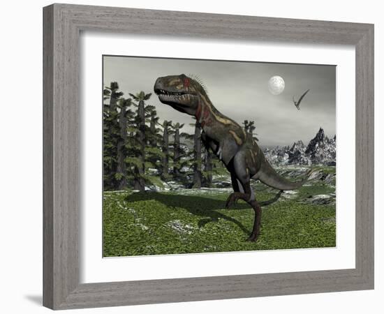 Nanotyrannus Dinosaur Amongst Tempskya Trees at Night-Stocktrek Images-Framed Art Print