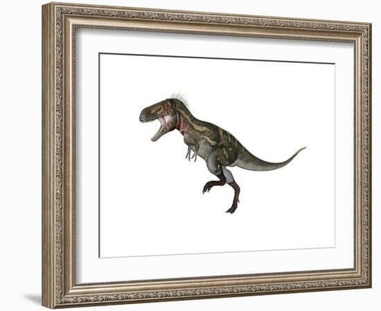 Nanotyrannus Dinosaur-Stocktrek Images-Framed Art Print