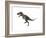 Nanotyrannus Dinosaur-Stocktrek Images-Framed Art Print