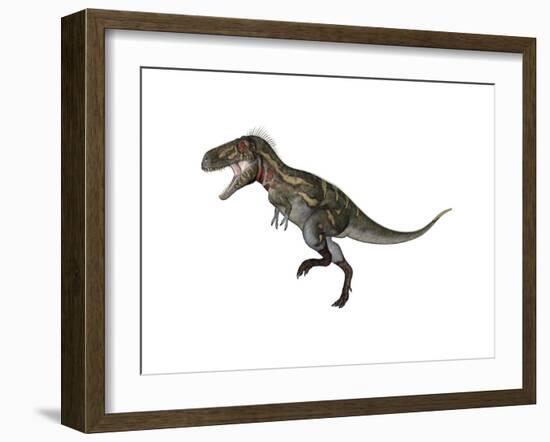 Nanotyrannus Dinosaur-Stocktrek Images-Framed Art Print