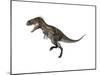 Nanotyrannus Dinosaur-Stocktrek Images-Mounted Art Print