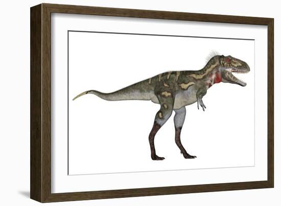 Nanotyrannus Dinosaur-Stocktrek Images-Framed Art Print