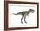 Nanotyrannus Dinosaur-Stocktrek Images-Framed Art Print