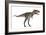 Nanotyrannus Dinosaur-Stocktrek Images-Framed Art Print