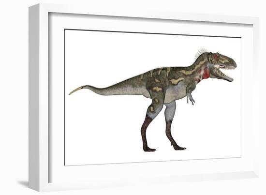 Nanotyrannus Dinosaur-Stocktrek Images-Framed Art Print