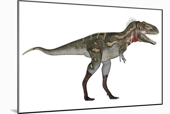 Nanotyrannus Dinosaur-Stocktrek Images-Mounted Art Print