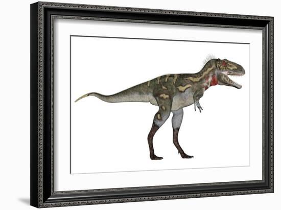 Nanotyrannus Dinosaur-Stocktrek Images-Framed Art Print