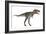 Nanotyrannus Dinosaur-Stocktrek Images-Framed Art Print