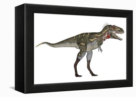 Nanotyrannus Dinosaur-Stocktrek Images-Framed Stretched Canvas