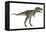 Nanotyrannus Dinosaur-Stocktrek Images-Framed Stretched Canvas