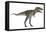 Nanotyrannus Dinosaur-Stocktrek Images-Framed Stretched Canvas