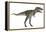 Nanotyrannus Dinosaur-Stocktrek Images-Framed Stretched Canvas