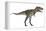 Nanotyrannus Dinosaur-Stocktrek Images-Framed Stretched Canvas