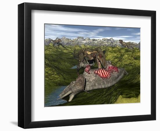 Nanotyrannus Eating the Carcass of a Dead Triceratops-Stocktrek Images-Framed Art Print