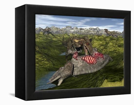 Nanotyrannus Eating the Carcass of a Dead Triceratops-Stocktrek Images-Framed Stretched Canvas