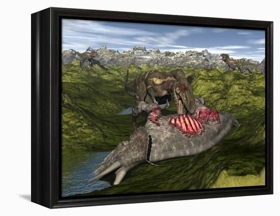 Nanotyrannus Eating the Carcass of a Dead Triceratops-Stocktrek Images-Framed Stretched Canvas