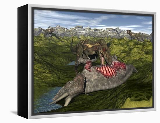 Nanotyrannus Eating the Carcass of a Dead Triceratops-Stocktrek Images-Framed Stretched Canvas