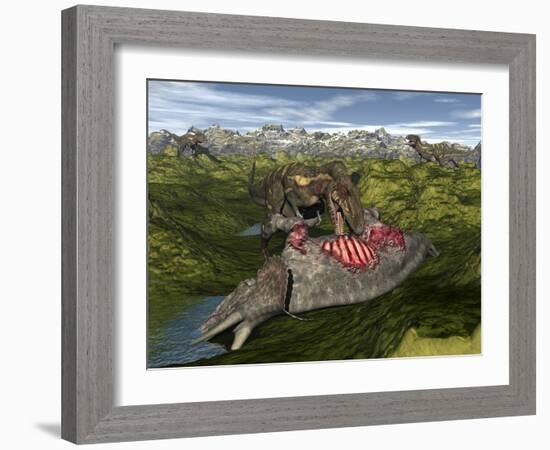 Nanotyrannus Eating the Carcass of a Dead Triceratops-Stocktrek Images-Framed Art Print