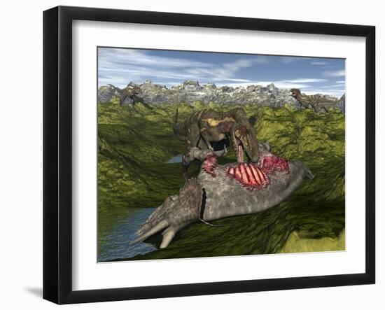 Nanotyrannus Eating the Carcass of a Dead Triceratops-Stocktrek Images-Framed Art Print