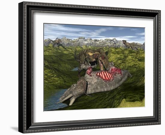 Nanotyrannus Eating the Carcass of a Dead Triceratops-Stocktrek Images-Framed Art Print