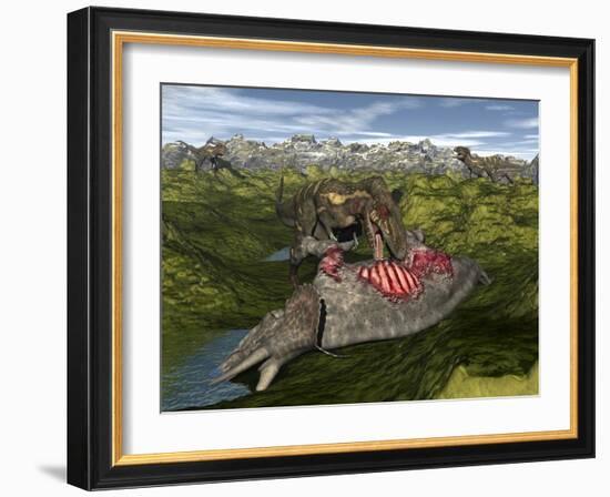 Nanotyrannus Eating the Carcass of a Dead Triceratops-Stocktrek Images-Framed Art Print