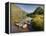 Nant Gwynant, Snowdonia National Park, Wales, Uk-David Wogan-Framed Premier Image Canvas