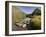 Nant Gwynant, Snowdonia National Park, Wales, Uk-David Wogan-Framed Photographic Print