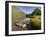 Nant Gwynant, Snowdonia National Park, Wales, Uk-David Wogan-Framed Photographic Print