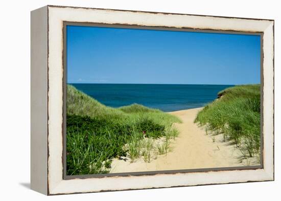 Nantucket Beach Dunes Photo Poster-null-Framed Stretched Canvas