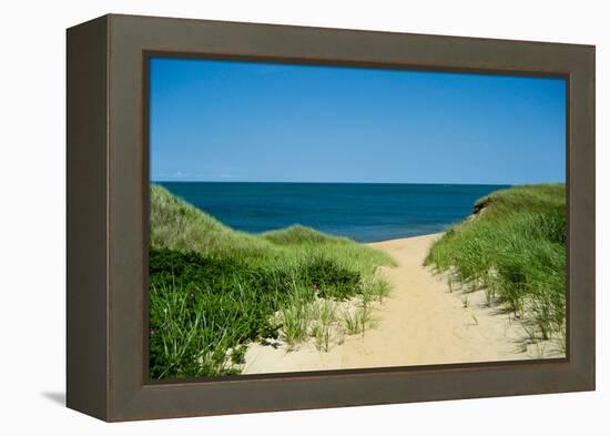 Nantucket Beach Dunes Photo Poster-null-Framed Stretched Canvas