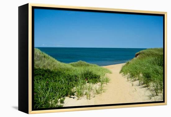 Nantucket Beach Dunes Photo Poster-null-Framed Stretched Canvas