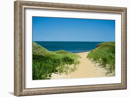 Nantucket Beach Dunes Photo Poster-null-Framed Premium Giclee Print
