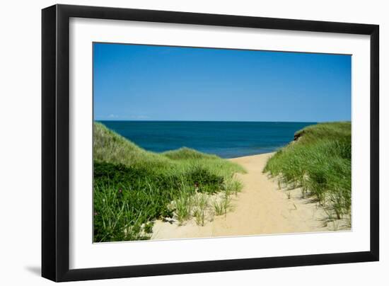 Nantucket Beach Dunes Photo Poster-null-Framed Premium Giclee Print