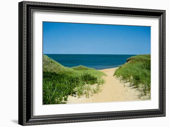 Nantucket Beach Dunes Photo Poster-null-Framed Premium Giclee Print