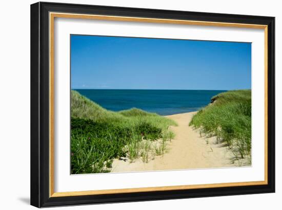 Nantucket Beach Dunes Photo Poster-null-Framed Premium Giclee Print