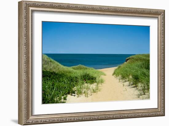 Nantucket Beach Dunes Photo Poster-null-Framed Art Print