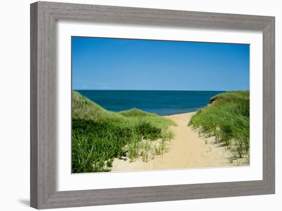 Nantucket Beach Dunes Photo Poster-null-Framed Art Print