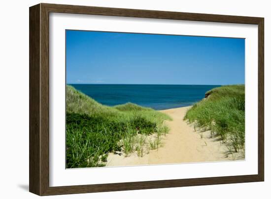 Nantucket Beach Dunes Photo Poster-null-Framed Art Print