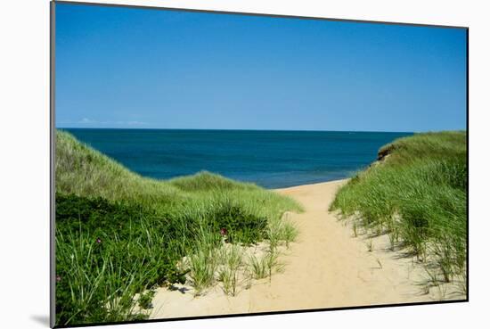 Nantucket Beach Dunes Photo Poster-null-Mounted Art Print