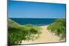 Nantucket Beach Dunes Photo Poster-null-Mounted Art Print