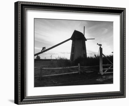 Nantucket Boys in Winter-Alfred Eisenstaedt-Framed Photographic Print