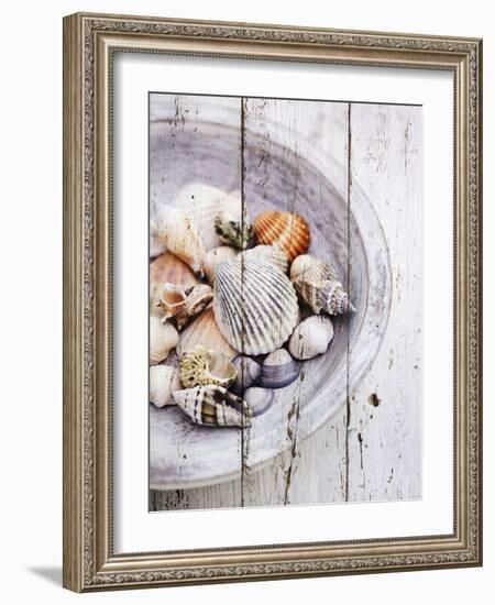 Nantucket Shells I-James Guilliam-Framed Art Print